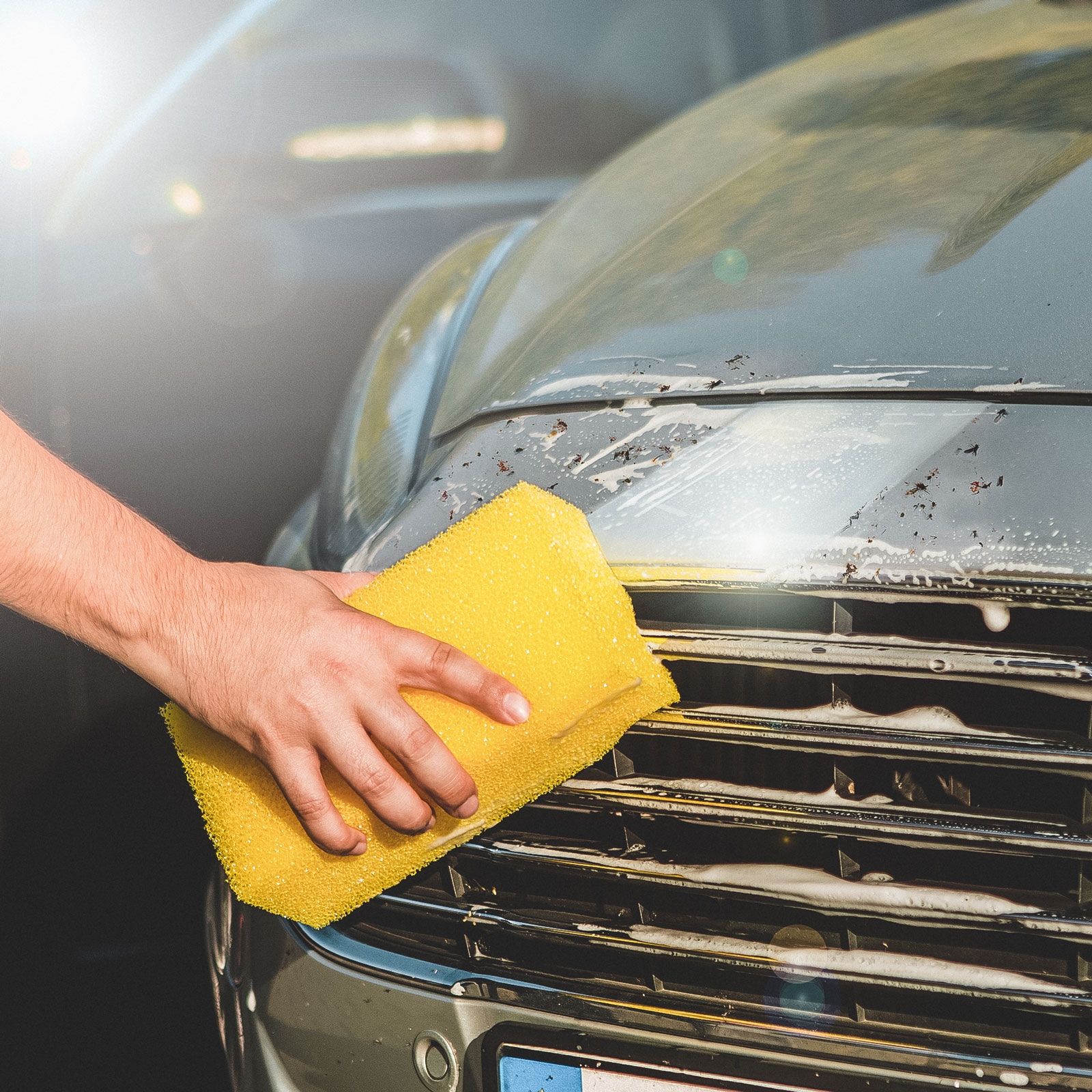 Car care Insect remover sponge